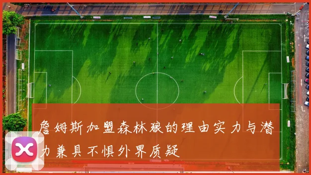 詹姆斯加盟森林狼的理由实力与潜力兼具不惧外界质疑