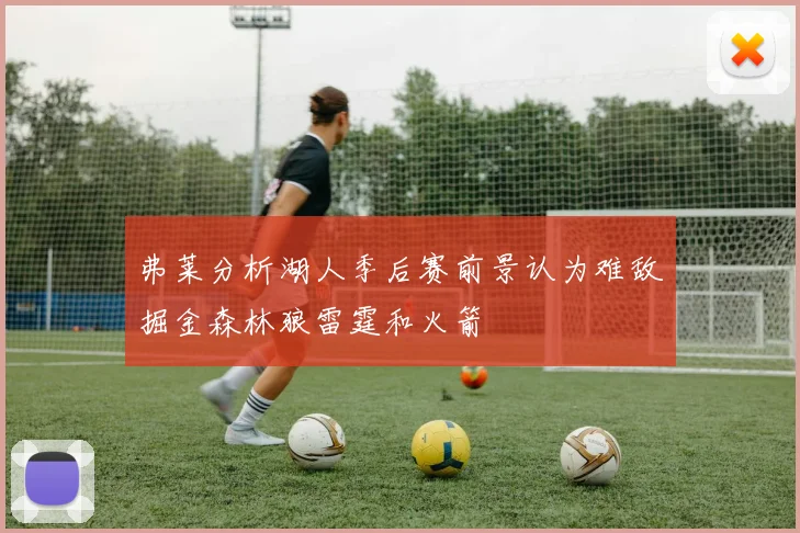 弗莱分析湖人季后赛前景认为难敌掘金森林狼雷霆和火箭
